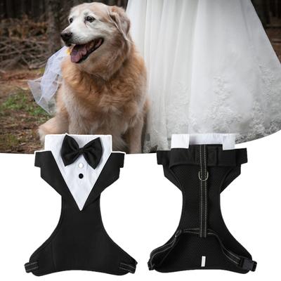 Nastro di fissaggio attraente Patchwork Pet Wedding Suit Cani Smoking Party per la primavera