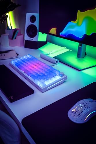 Glorious Polychromatic RGB Keycaps, Translucent, Cherry Profile, US ANSI English Layout, 115 Keycaps, GLO-KC-POLY-RGB KB760