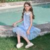 Disney Elsa Princess Sequin Mesh Dress