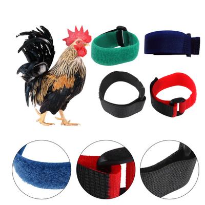 2 Stück Hahn Halsband Superweich Verschleißfestes Nylon Farbecht Hahn Geflügel Halsband für Gans