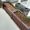 Hualongdun Anti-Corrosion Wooden Planter Box