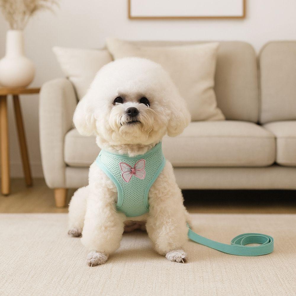 Soft Dog Chest Strap Adjustable Dog Traction Rope Collar Practical Dog Chest Vest  Daily Walk