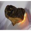 Orange Amber 228.54 Ct Earth Mined Natural Rough   Loose Gemstone