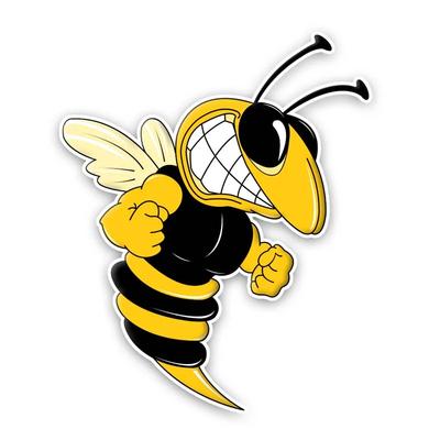 13cm Ein wütendes Bienen-Aufkleber für Auto-Produkte Sonnenschutz und Wasserdichte Abdeckung Kratzer Zubehör Aufkleber Stilvoll, Niedlich, PVC