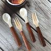 Seasoning Condiment Caviar Conch Scoop Coffee Fork Shell Spoon Teaspoon Ice Cream Dessert Spoon