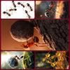 Animal Small Aant Mouse Pad Large Gaming Mousepad With Stitched Edges Thickened Desk Mat Pc