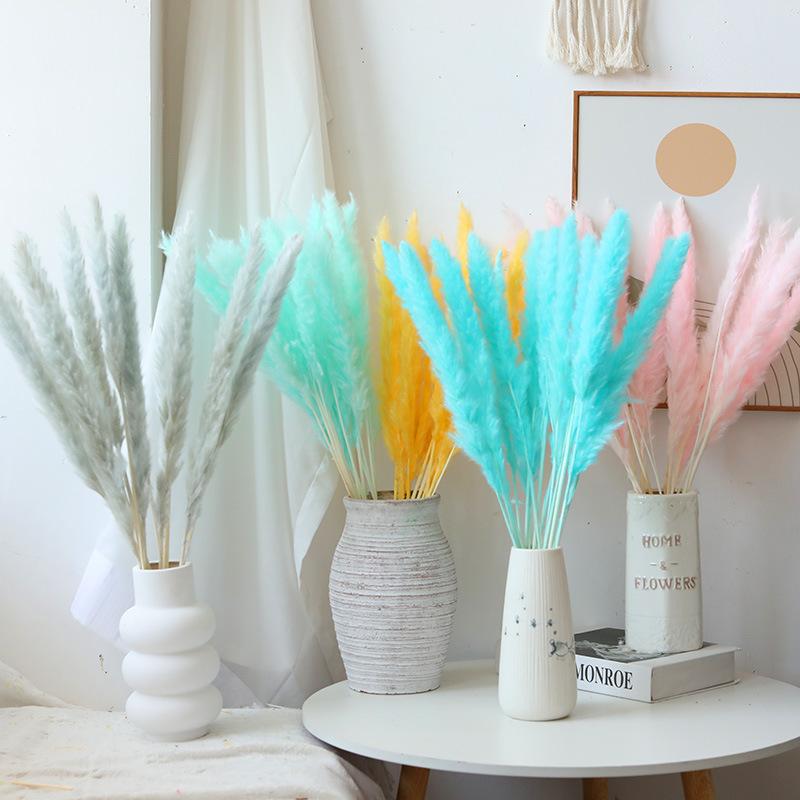 Small Reed Pampas Grass Dried Flower Special Offer Small Reed Dried Flower Bouquet Decoration Wedding Arrangement