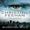 Burning Wild by Christine Feehan Paperback Book 9780749941598