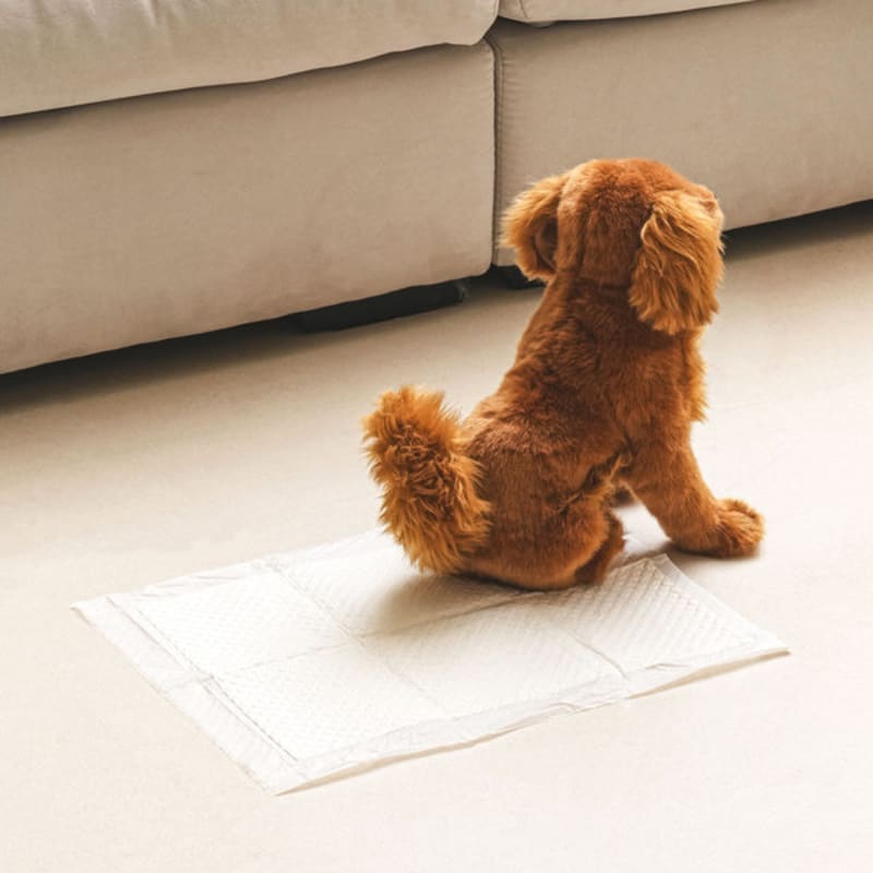 [Haustier] 60 Stück Katzenstreuunterlage 30