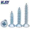WJGY HD Galvanized Carbon Steel Self-Tapping Screws