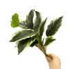 Creative 14 Leaves Artificial Plant Evergreen Green Scene Making Greenery Leaves Photo Props Plant Wall Wedding Ornament