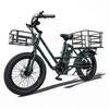Electric Freight Bicycle 750W Motor 48V 20.8AH Max Range 120Km 20"x3"Tire
