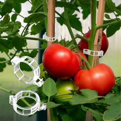 Reusable Plant Supports Clips Plastic Connects Fixing Vine Grape Tomato Stem Clip Grafting Vegetable Plants Orchard Garden Tools