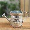 Creative Retro Small Iron Watering Can Garden Ornaments Flowerpots Home Decoration Bucket Pots for Flowers Plant Accessories