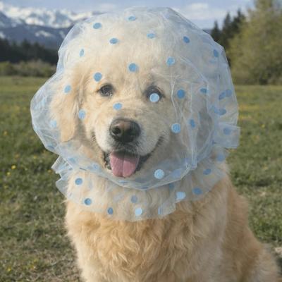 Breathable Dog Anti-Eating Veil Adjustable Comfort Pet Dog Mouth Cover Elastic Polyester Anti Licking Headband Behavior Control