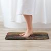 Spawning Male Brook Trout Anti-slip Doormat Floor Mat Sand Scraping Carpet Rug for Kitchen Entrance Home Balcony Footpad Mats