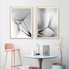 Scandinavian Flower Dandelion, Canvas, Painting, Black and White Modern Wall Painting, Posters with Printing for Home Decor, Living Room,