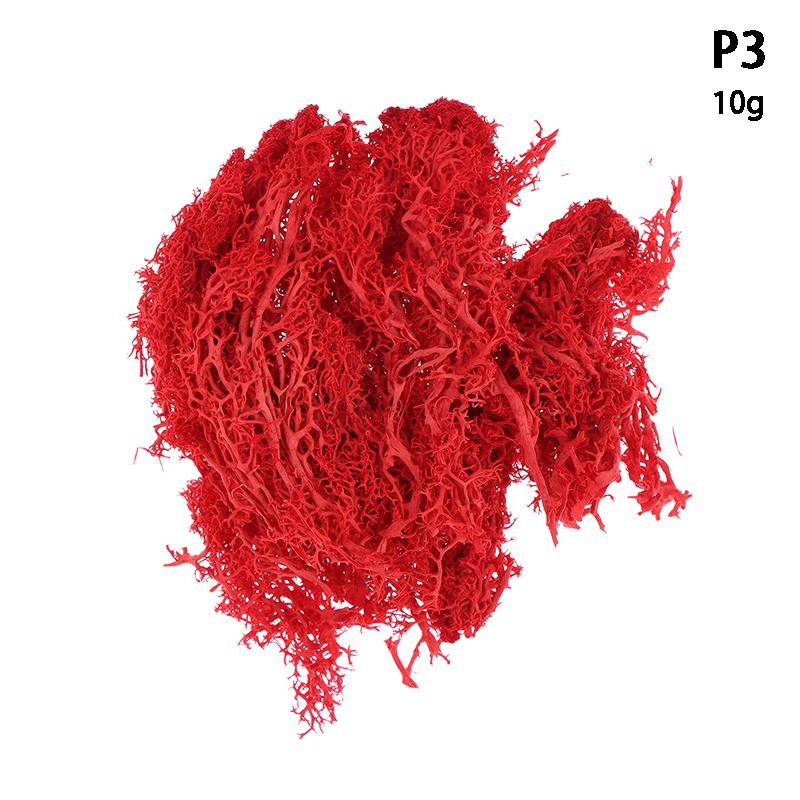 Colorful Natural Artificial Moss Plant DIY Dried Reindeer Moss Decor Resin Epoxy Filling Jewelry Garden Decorate Supplies