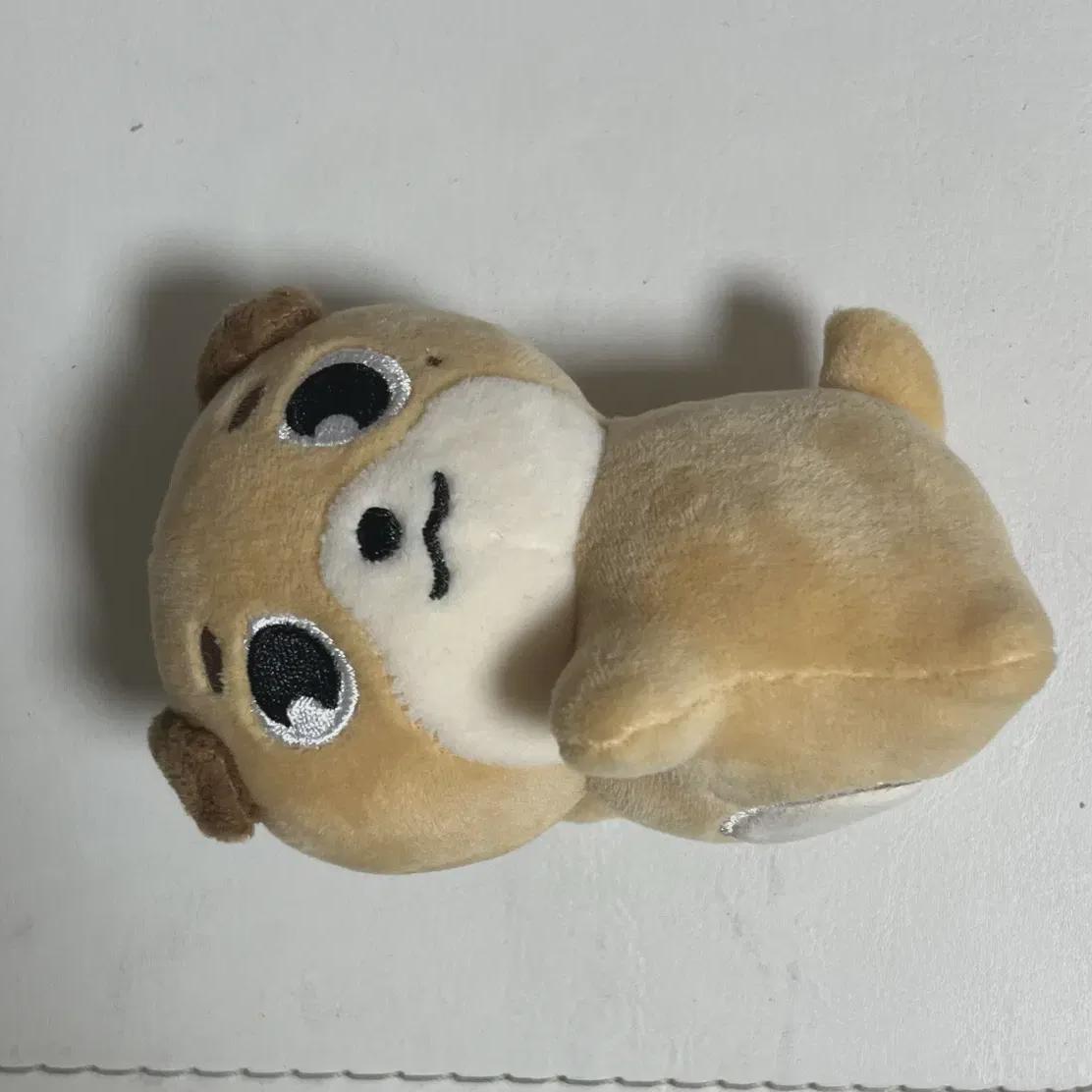 

Day6 Denimals Money Dowoon Hand Warmer