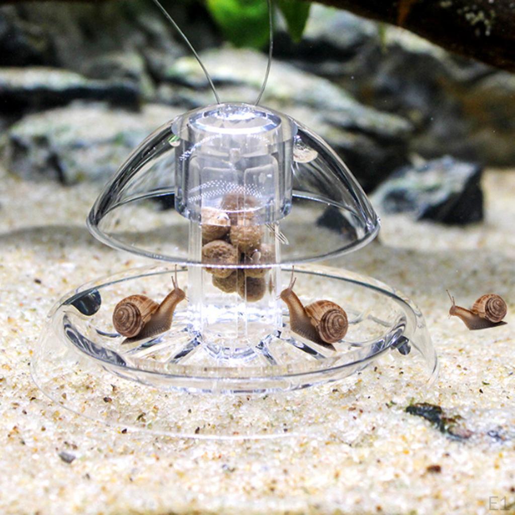 Snail Aquarium Fish Tank Plants Planarian Leech Feeder Catch Catcher S