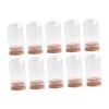 10x Glass Display Domes Cloche Bell Jars Versatile Decorative Jars for
