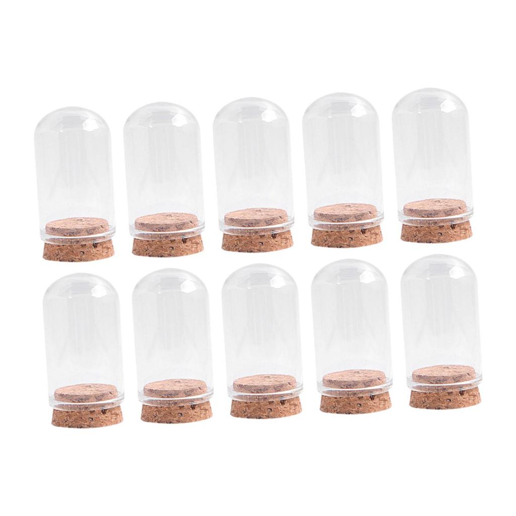 10x Glass Display Domes Cloche Bell Jars Versatile Decorative Jars for
