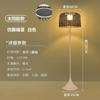 Outdoor Solar Floor Lamp,Waterproof Rattan Floor Lights For Patios, Decks, Garden,Outdoor Floor Lamps For Patio Plug In
