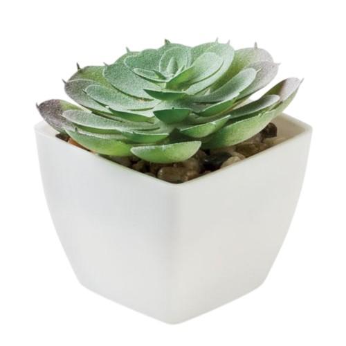 MidOcean Artieche Polypropylene Echeveria Mini Artificial Plant