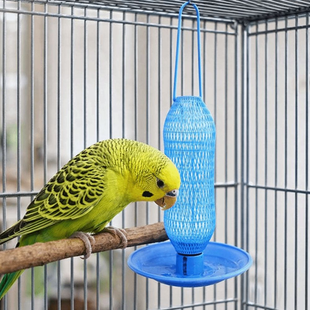 Automatic Bird Water Feeder Plastic Eco-Friendly Hanging Hummingbird Feeder Detachable Wild Birds Drinker Project