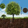Faux Boxwood Ball Trees with Ground Spike UV Resistant Artificial Shrub for Outdoor Garden Patio Balcony and Indoor Settings