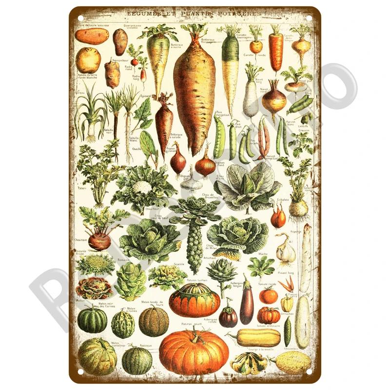 Metal Sign Wall Decor For Cafe Home Garden Farm Beach Hut Outdoor Vintage Tin Sign Flowers Birds Car Metal Plaque Welcome Poster