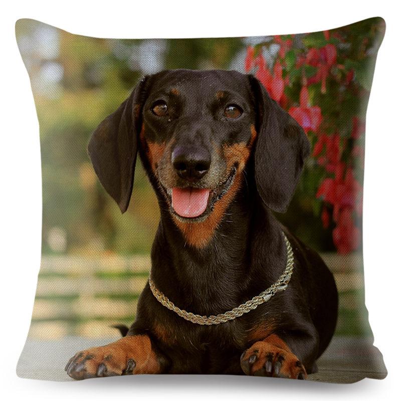 Față de pernă drăguță cu imprimeu câine teckel miniatural, 45*45 pătrată, huse de pernă din in, față de pernă, decor pentru canapea și casă, fețe de pernă