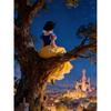 Disney Prinzessin Antike Nachtszene Kollektion 5D Diamantmalerei Voll mit Diamanten DIY Handgemalte Diamantmalerei Fantasie Dekoratives Malerei-Set