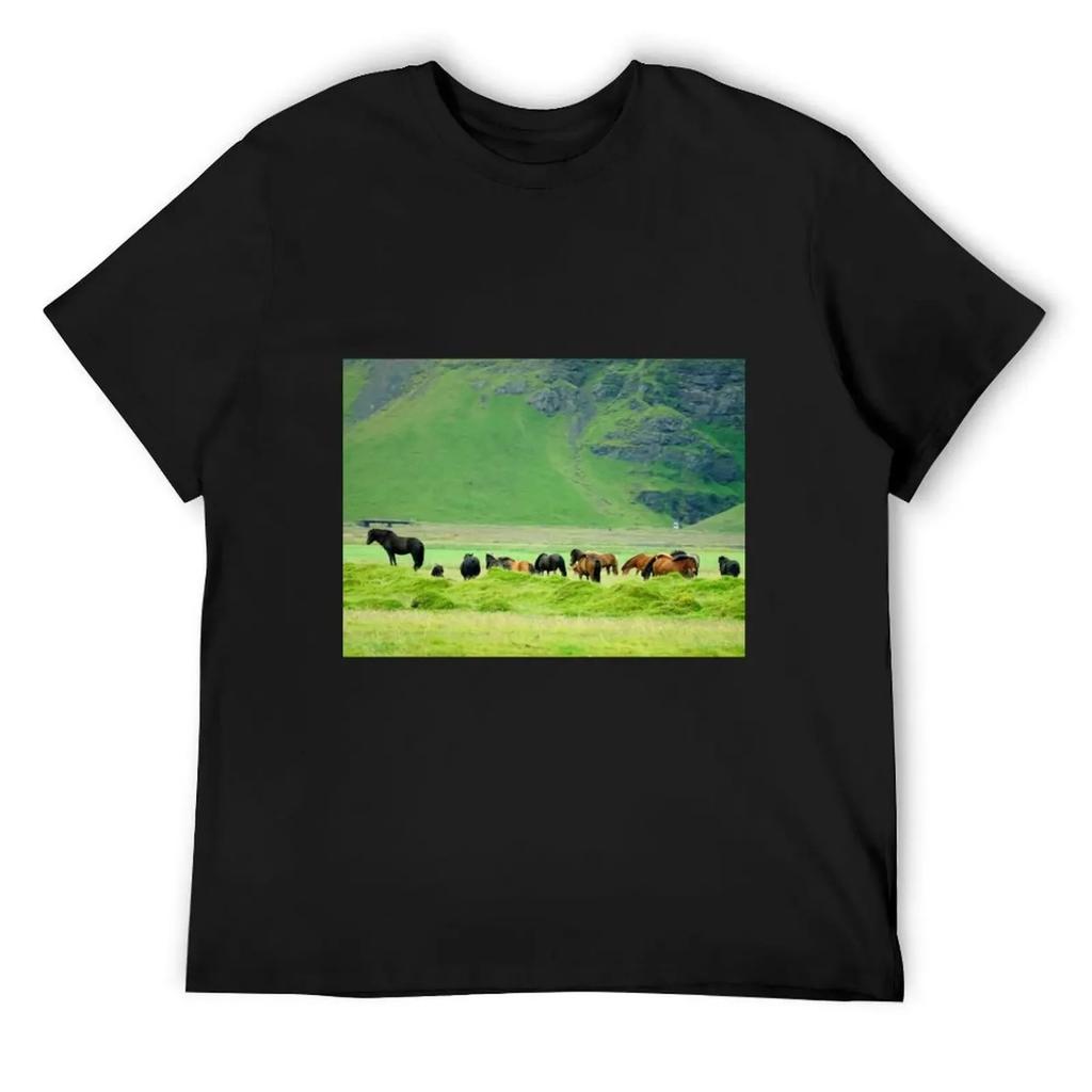 Iceland Horses Vol