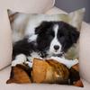 Cute Scottish Border Collie Pillowcase Dog Print  Decor Pet Animal Cushion Cover Sofa