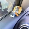 Ornamenti per Auto Gatto e Topo Cartoni Animati, Decorazione per Cruscotto Auto in Resina, Statuette Personaggi Kawaii per Scrivania d'Ufficio