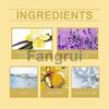 For Mens Longlasting Vanilla Lavender Body Spray Fresh Nourishing Confidence Boost