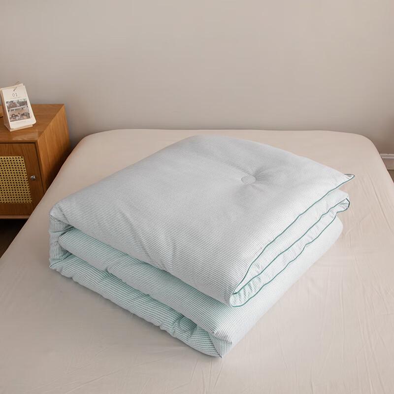 MUJI Cationic Heat-Retaining Winter Comforter