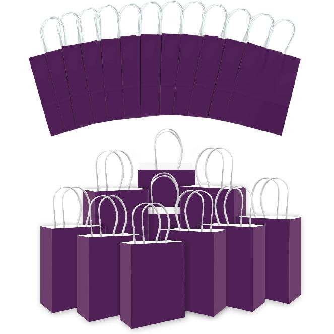 qiqee 24PCS Medium Gift Bag with Handles Bulk 11"x5"x8" Gift Bags Violet Bags Multiple Uses (Medium Size)