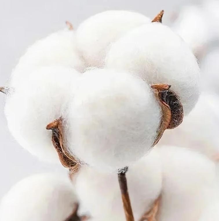 Vintage Saja Boys K-kpop Demon Hunters Print T-shirt Anime Short Sleeve Tee Summer Girl Boy Shirt Casual Tops Crewneck Clothing