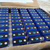 Cornex 8000 Cycles Mb31 314Ah Lifepo4 New Grade a Mb 31 314A Lf314 Lfp 314 Ah 3.2V 280Ah 314Ah Life Po4 Lithium Battery Cells