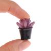 5PCS 1:12 Dollhouse Miniature Green Flower Plant Potted Plants Succulent Plants Home Decor