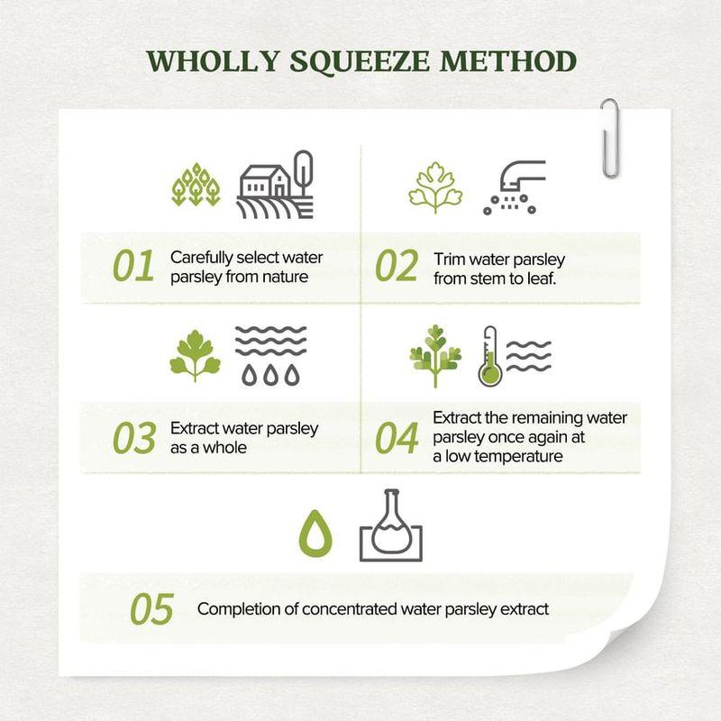 SKINFOOD - Pantothenic Water Parsley Refresh Cleansing Foam