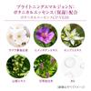 TWANY Brightening Emulsion Prevents Dark Spots and Freckles NI, 100ml, Quasi-drug, Fragrance-Free, Color-Free, Refreshing, Translucent,