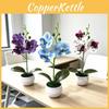 Decorațiuni pentru casă – Flori decorative şi coroane de flori