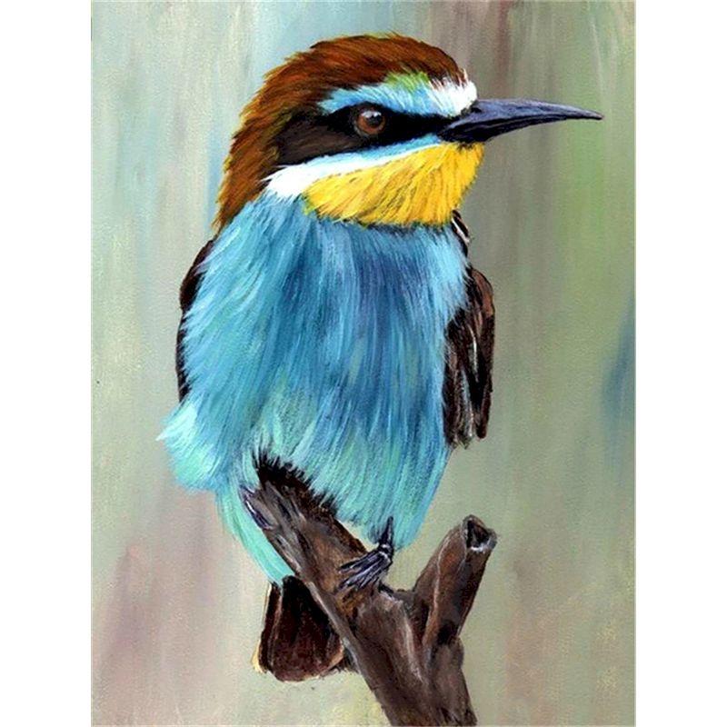 GATYZTORY Malen nach Zahlen für Erwachsene Spatzenvogel Tier Einzigartige Geschenke Ölfarbe Malerei auf Leinwand Gerahmte Wandkunst Handwerk
