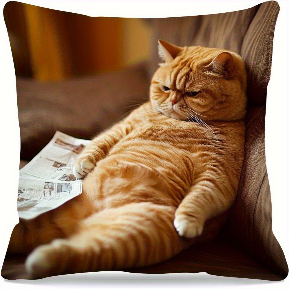 1pc Lazy Cat Reading Newspaper Pillow Cover 45.72x45.72 cm - Soft Polyester Short Plush Farmhouse Decor, Single-Sided Print with Zipper Closure, Machi