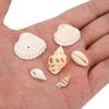 10pcs Natural Conch Shell Beads Bulk Lot With Hole Earring Necklace Charms Pendants for DIY Bracelet Findings Jewelry Making
