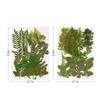 Art Craft Leaf Specimen Resin Accessory Dried Pressed Leaves Dried Flowers Artificial Decorations