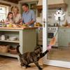 Moving Cat Toy Electric Smart Enrichment Funny Teaser Wand Boredom Cat Toy for Kitten for Stimulating Play Exercise Small Large